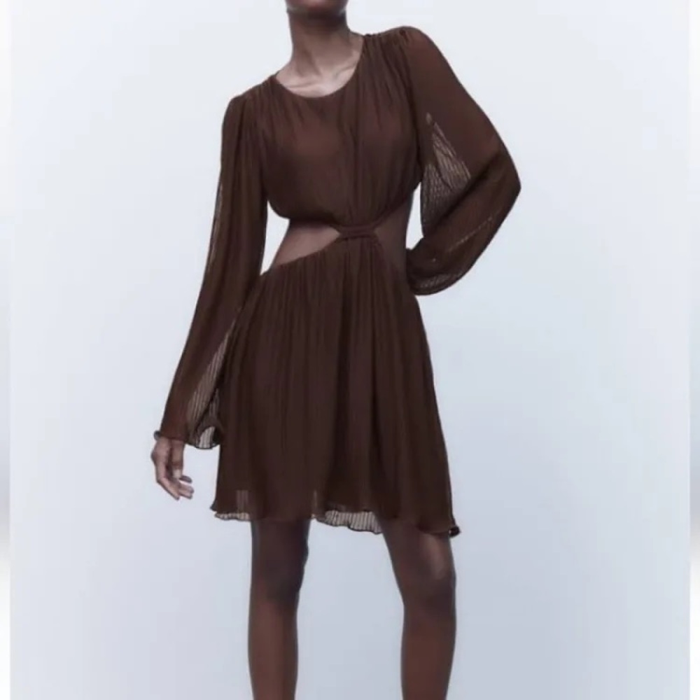 Zara Pleated Cut-out Dress
